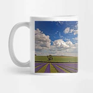 Lavender Field Purple Flowers Cotswolds England Mug